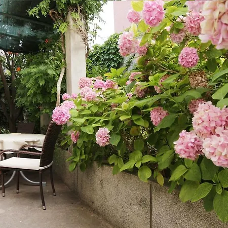 公寓 Garden *
