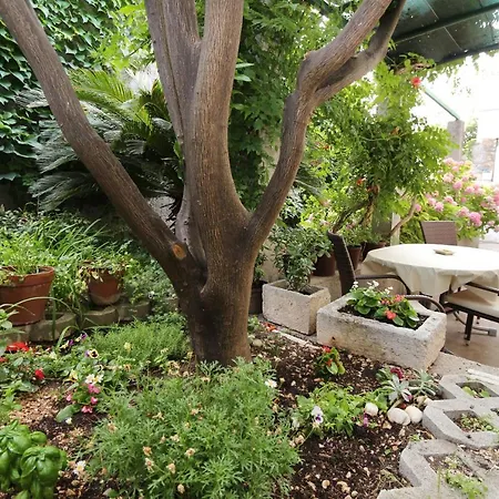 Apartman Garden *